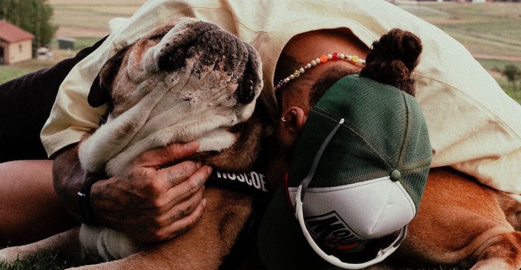 lewis hamilton roscoe