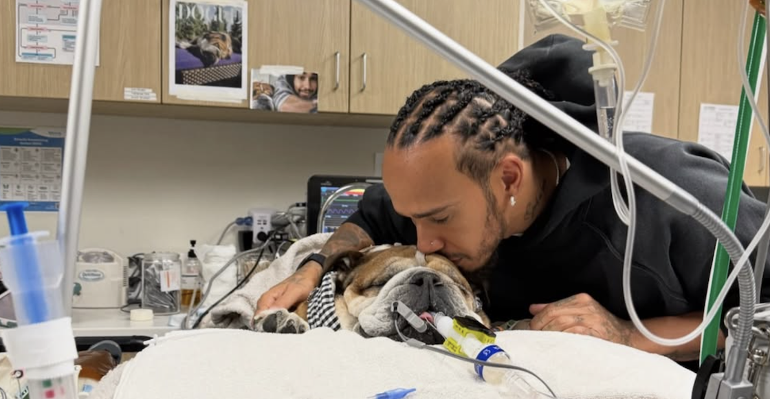 lewis hamilton roscoe 2