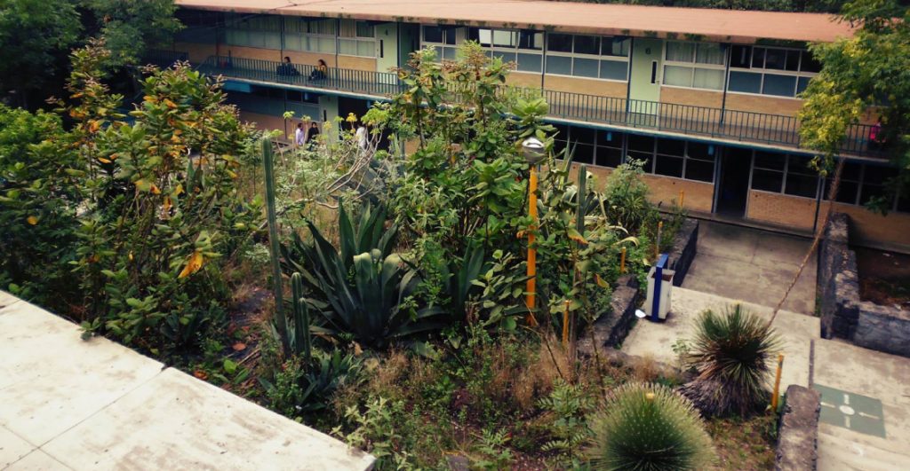 muere-alumno-cch-sur-unam-ataque-arma-blanca-dentro-plantel