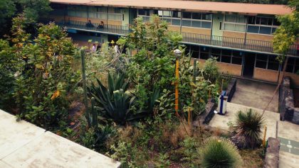 muere-alumno-cch-sur-unam-ataque-arma-blanca-dentro-plantel