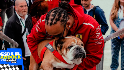5 momentos divertidos de Roscoe Hamilton en el Paddock de la Fórmula 1