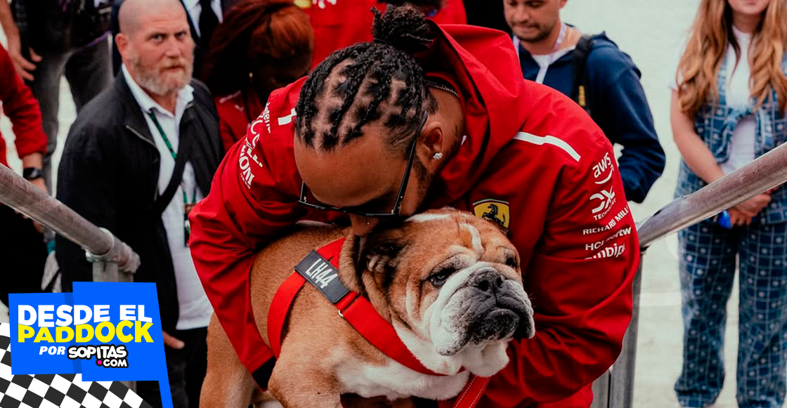 5 momentos divertidos de Roscoe Hamilton en el Paddock de la Fórmula 1