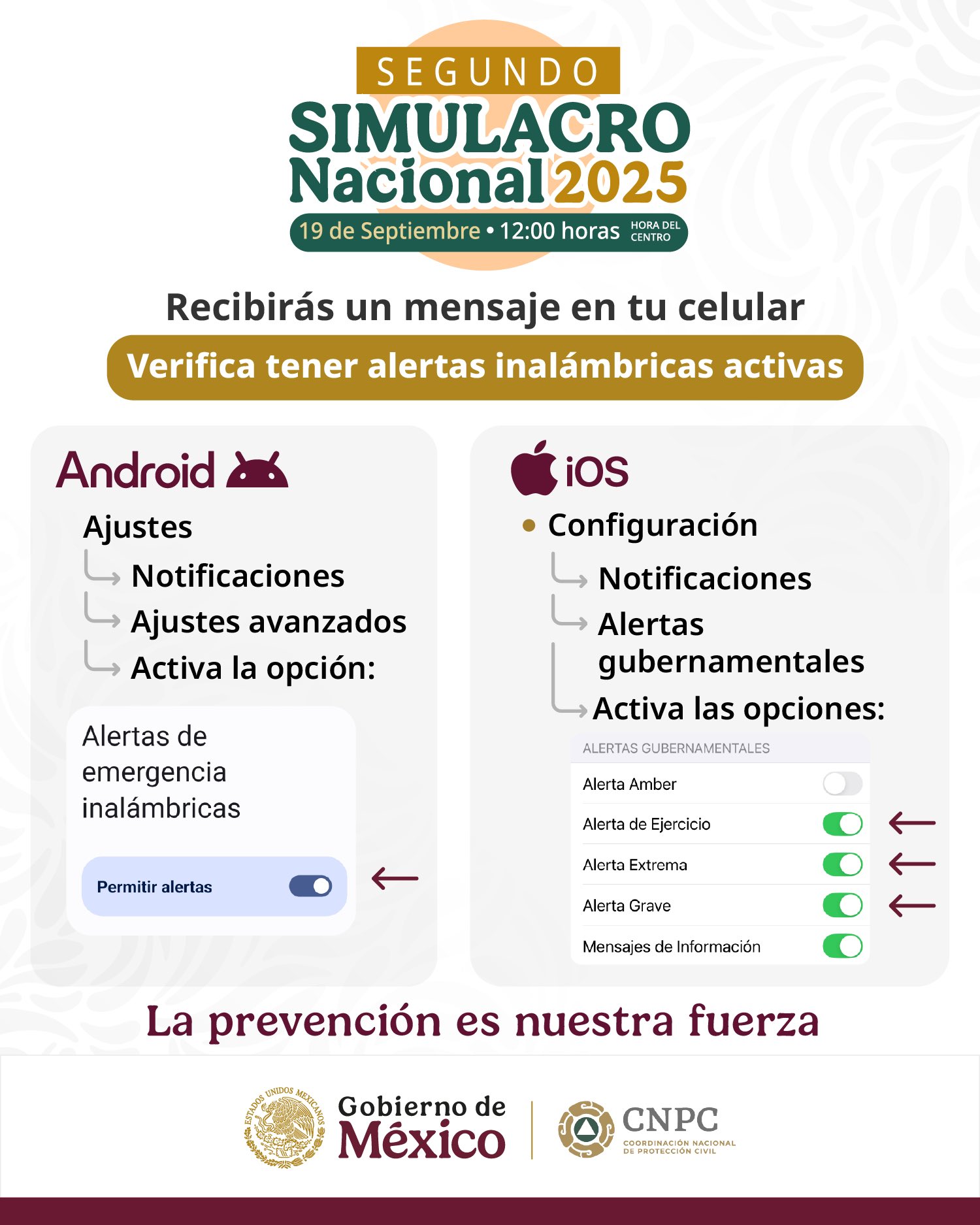 Simulacro Nacional 2025
