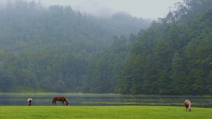Cinco viajes para hacer en otoño