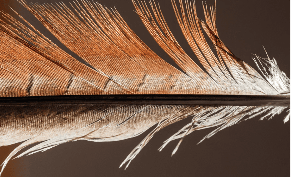 Siete cuentos de terror 