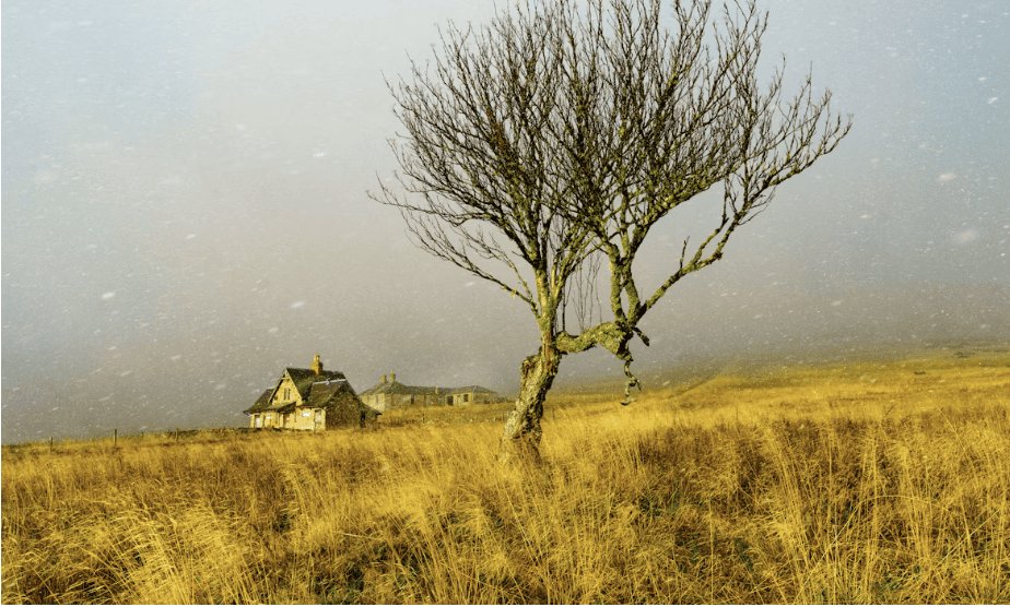 Siete cuentos de terror 