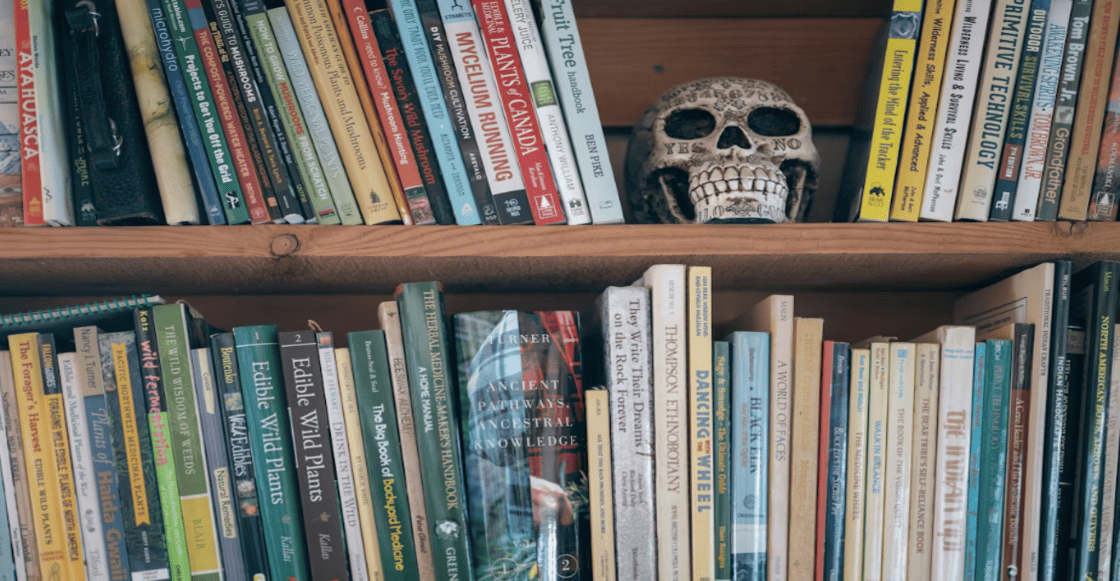 Siete cuentos de terror