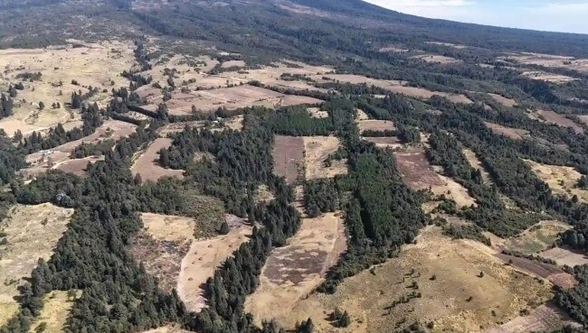 El hermoso Ecoparque Tlalli-Malinche, la nueva salida verde cerca de la CDMX