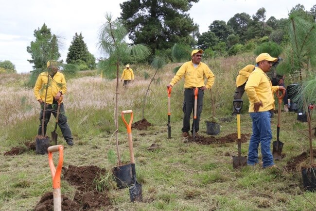 El hermoso Ecoparque Tlalli-Malinche, la nueva salida verde cerca de la CDMX