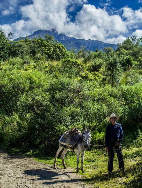 El hermoso Ecoparque Tlalli-Malinche, la nueva salida verde cerca de la CDMX