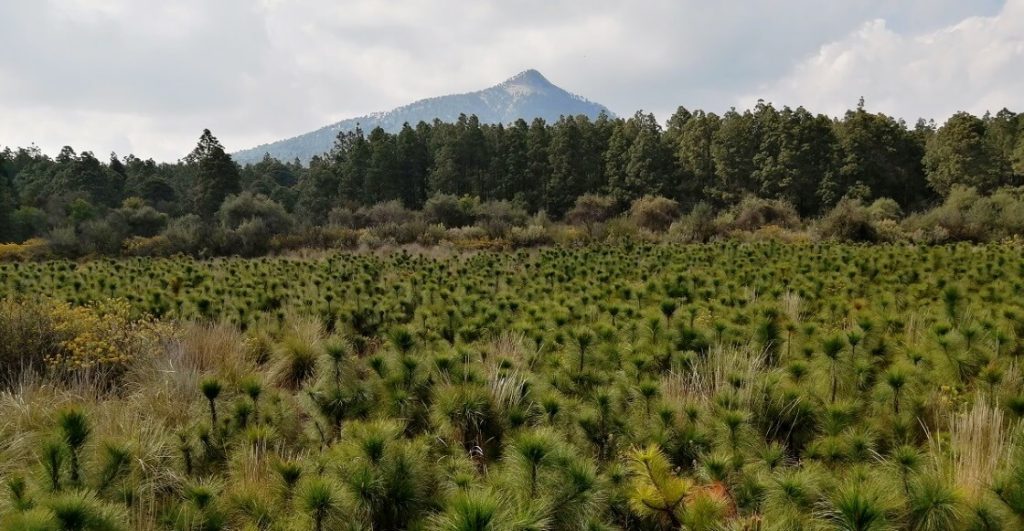 El hermoso Ecoparque Tlalli-Malinche, la nueva salida verde cerca de la CDMX