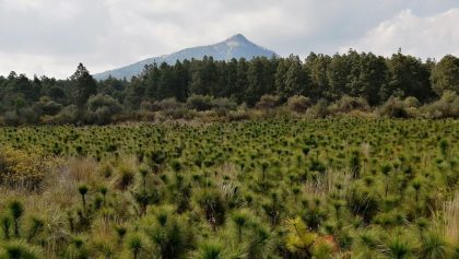 El hermoso Ecoparque Tlalli-Malinche, la nueva salida verde cerca de la CDMX