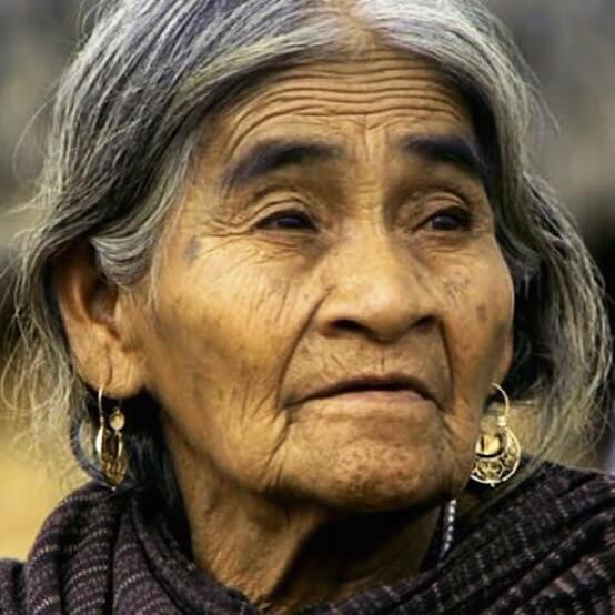 La luciérnaga que descubrieron en el Bosque de Chapultepec