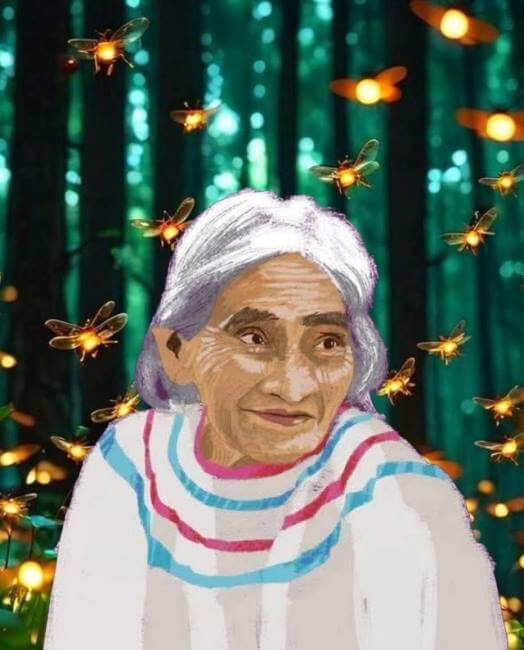 La luciérnaga que descubrieron en el Bosque de Chapultepec