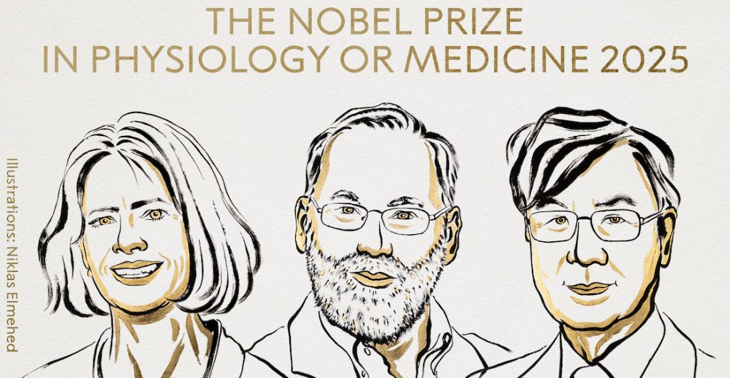 nobel de medicina 2025