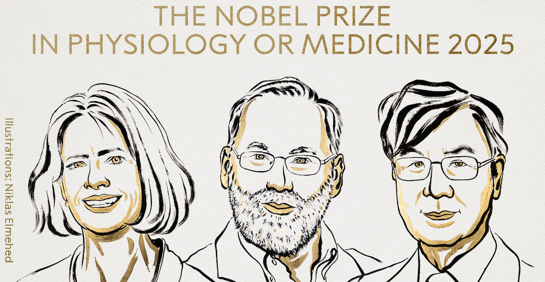 nobel de medicina 2025