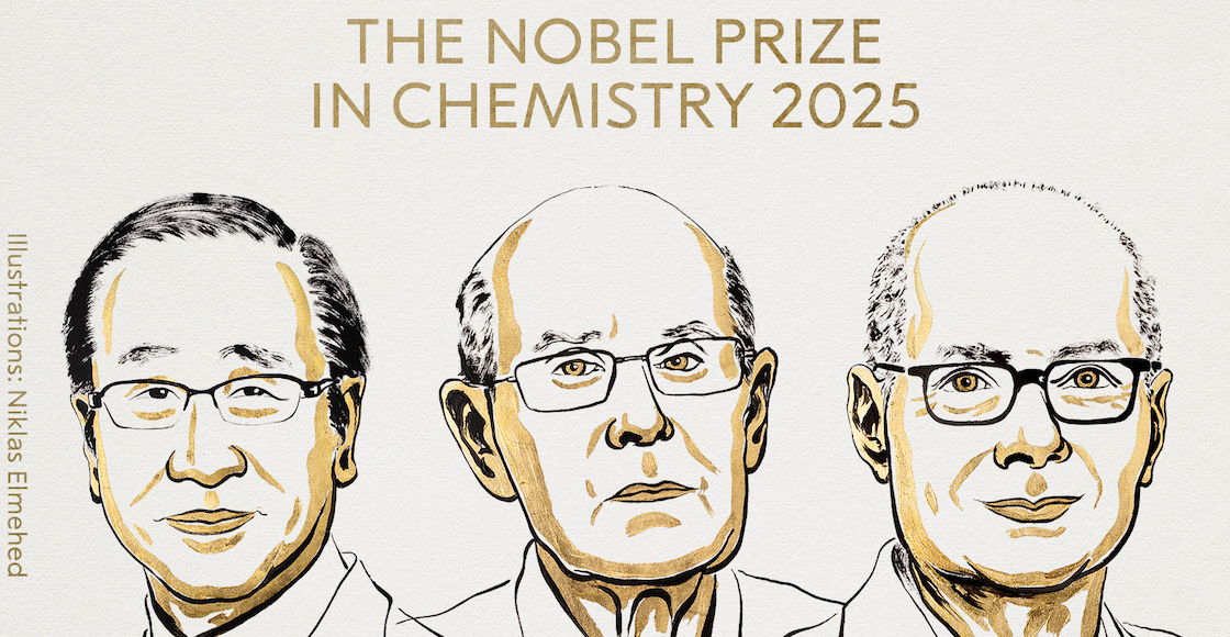 nobel quimica 2025