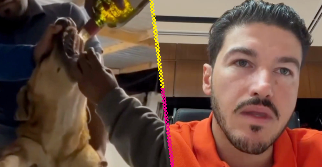 obligan-perro-beber-whisky-samuel-garcia-nuevo-leon