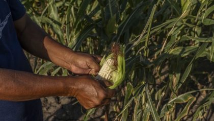 Más de 5 días de bloqueos: 6 puntos de la protesta de agricultores en México