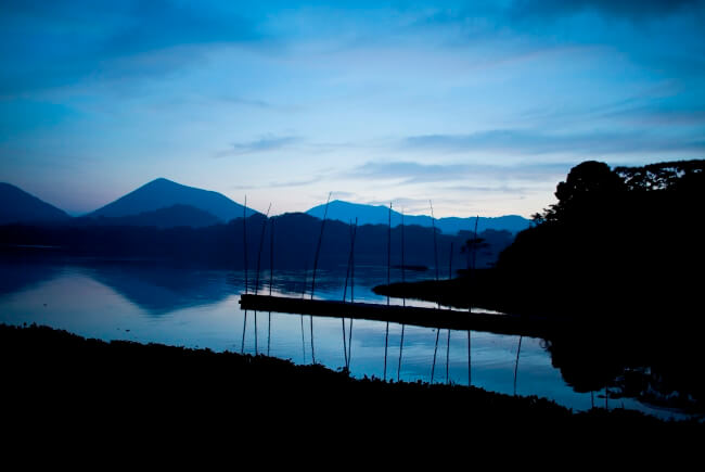 Limpias y árboles eternos: Recorrido misterioso por Catemaco