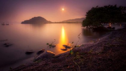 Limpias y árboles eternos: Recorrido misterioso por Catemaco