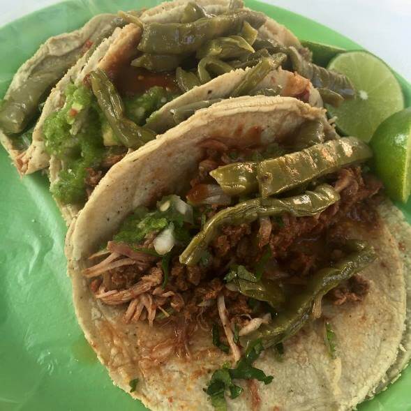 Ruta gorda presenta: Los mejores tacos de mixiote de la CDMX