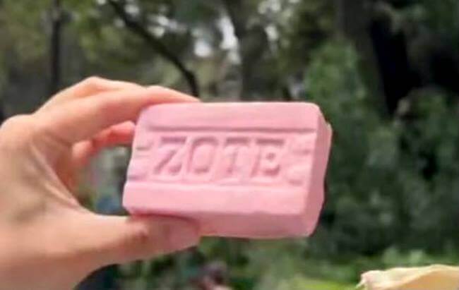 Sobre los TamalZotes, el antojo morboso de moda