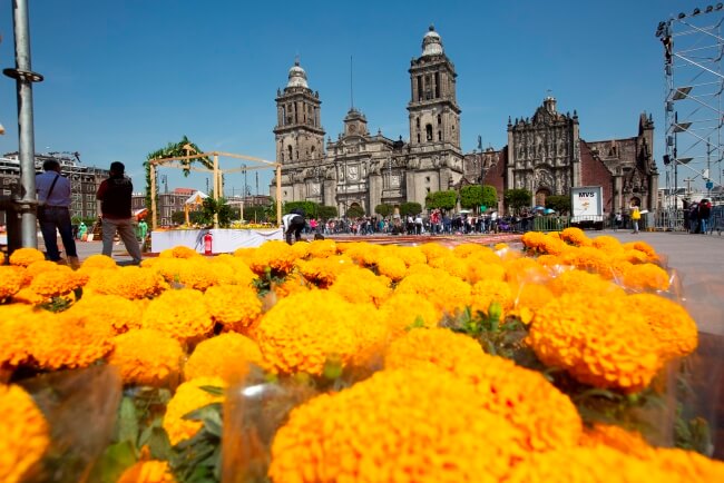 Tour de ofrendas por la CDMX