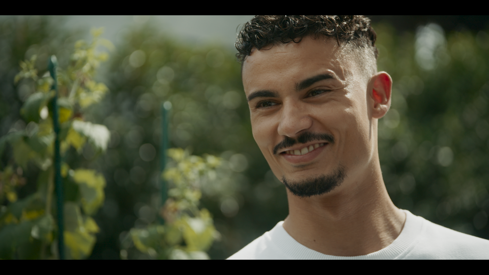 Pascal Wehrlein, piloto de Porsche