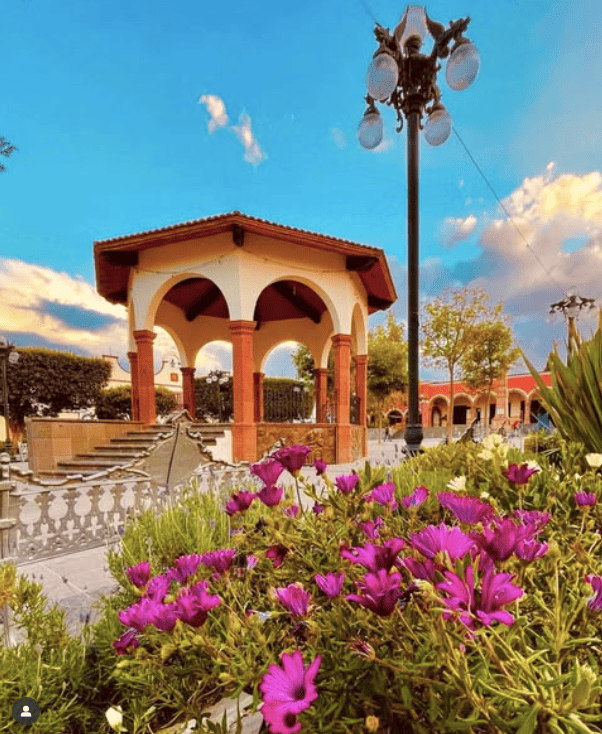 Campos de flores cerca de la CDMX