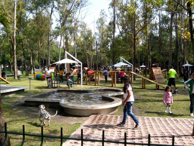 ¿No puedes salir en diciembre? ¿Qué tal un día turístico en Satélite?