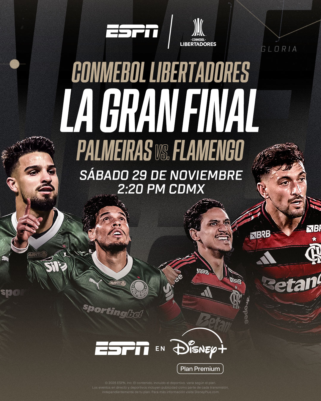 ¿Dónde ver la final de la Copa Libertadores Palmeiras vs Flamengo?