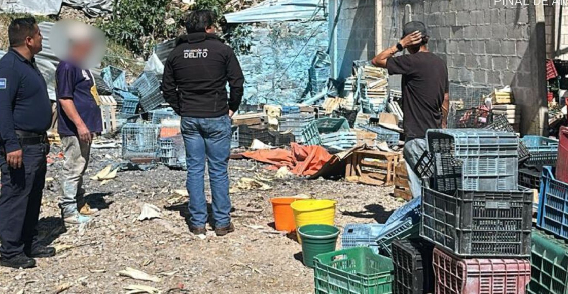 emergencia-queretaro-explosion-verduleria-lesionados-destacada