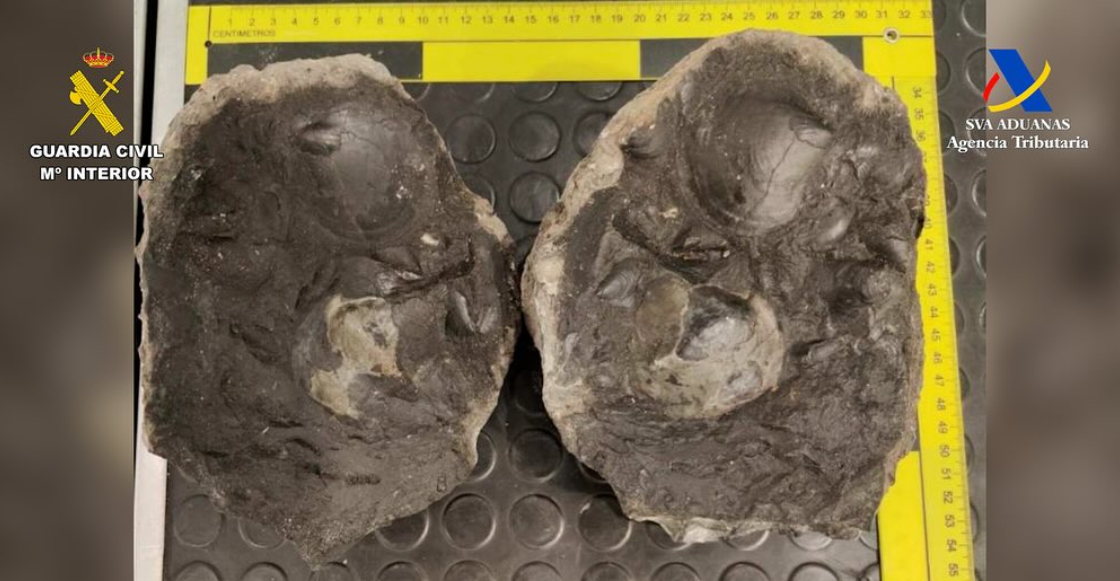 espana-recupera-piezas-arqueologicas-mexico-ecuador-aeropuerto-bilbao-1