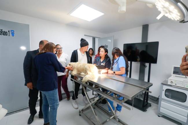 Sobre el primer hospital veterinario público que abrirá 24 horas al día
