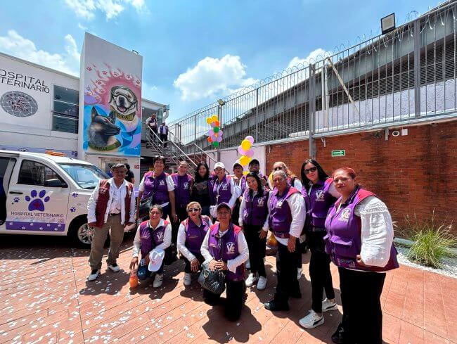 Sobre el primer hospital veterinario público que abrirá 24 horas al día