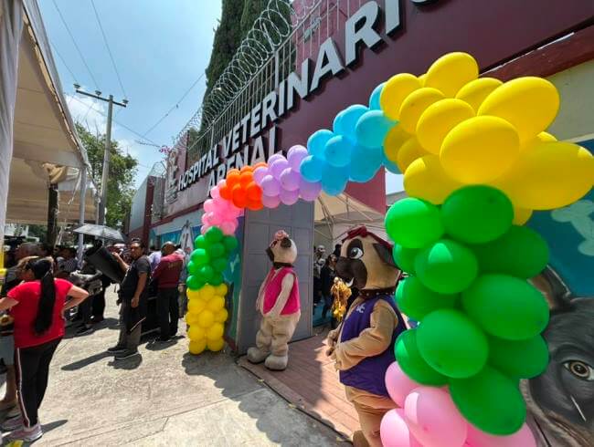 Sobre el primer hospital veterinario público que abrirá 24 horas al día