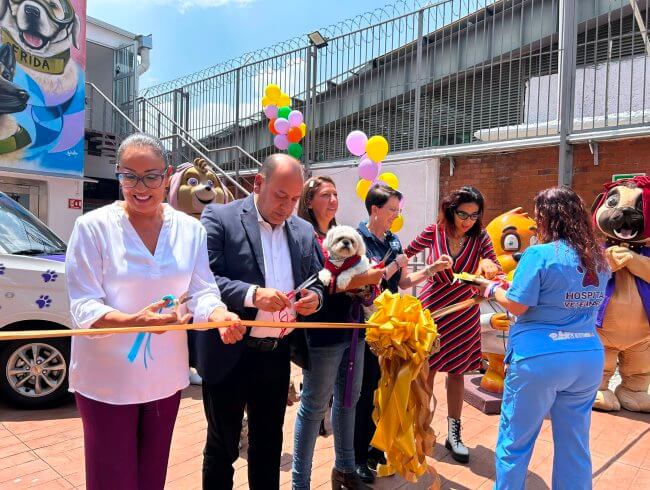 Sobre el primer hospital veterinario público que abrirá 24 horas al día
