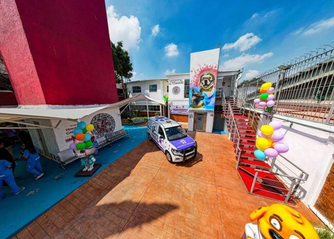 Sobre el primer hospital veterinario público que abrirá 24 horas al día