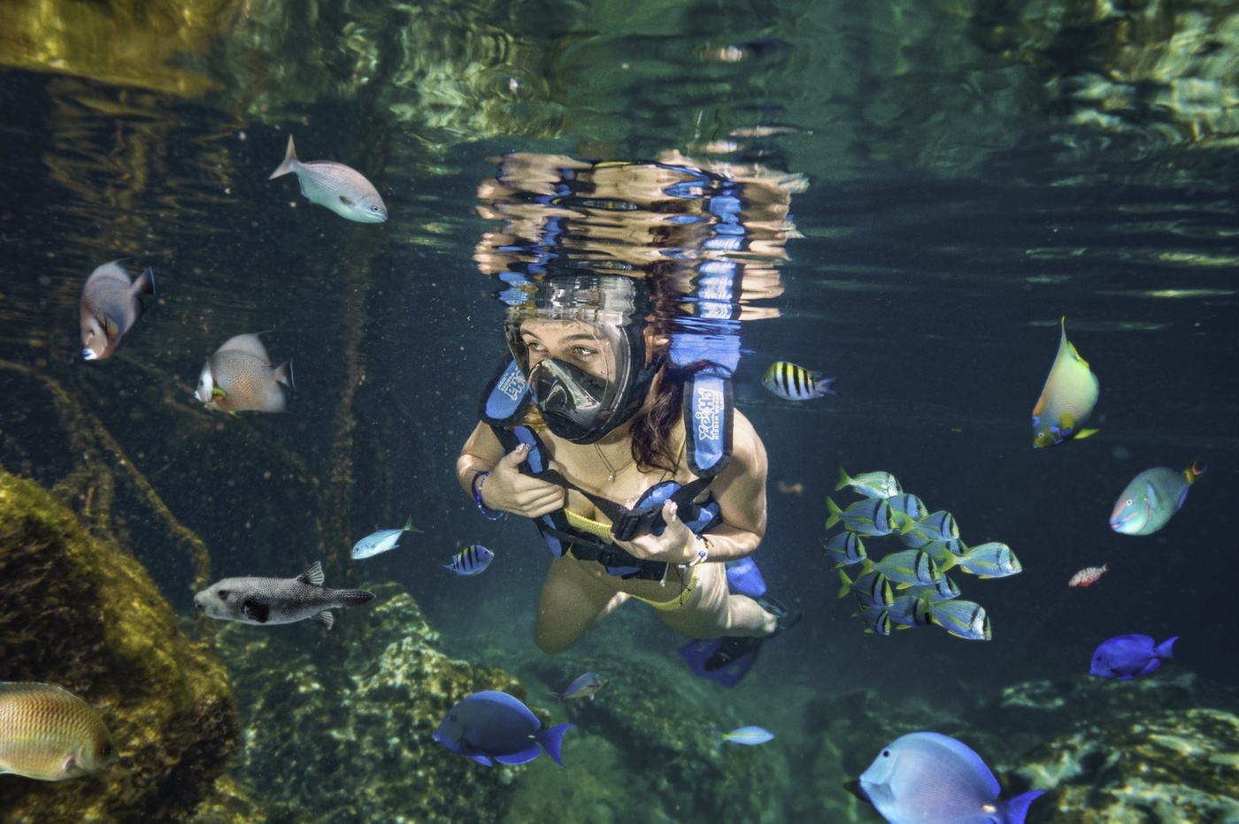 Xel-Há Xcaret Buen Fin