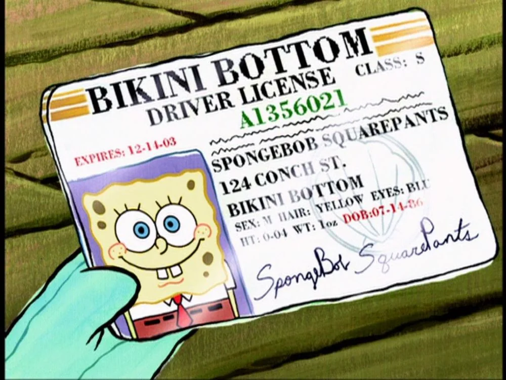 Bob Esponja, licencia de conducir
