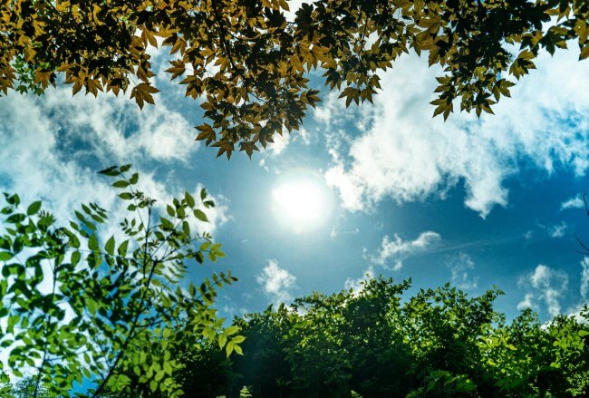 Información que cura: ¿Por qué a casi la mitad de los mexicanos les falta la vitamina D?