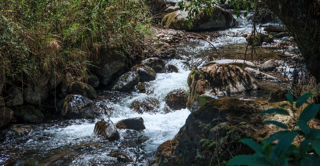 La hazaña de Seúl que CDMX podría repetir restaurando sus ríos: ¿Cómo y para qué?