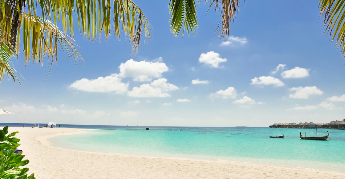 Preparen el ponche y la rosca para las vacaciones de diciembre 2025 e invierno 2026