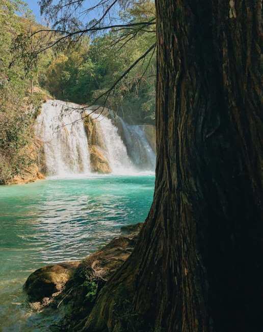 5 experiencias que se tienen que vivir en México sí o sí