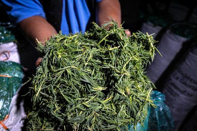 Recetarios para la cena navideña presenta: 5 maneras fantásticas para preparar Romeritos