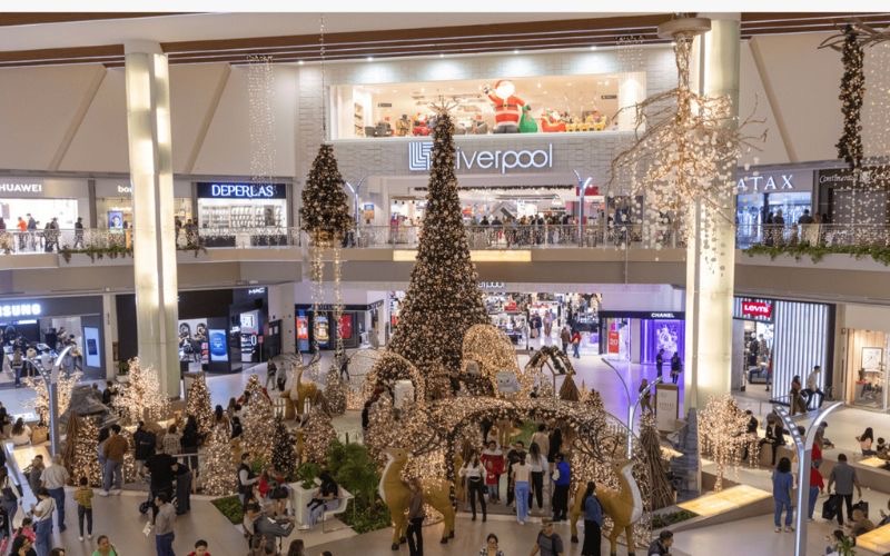 bosque encantado en galerias monterrey