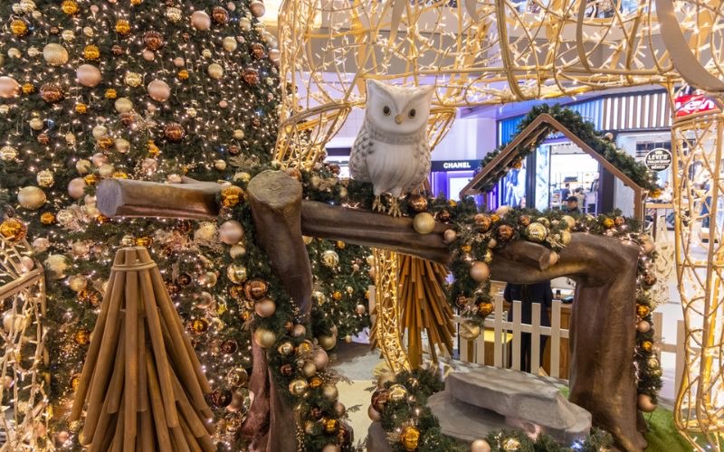 bosque encantado en galerias monterrey