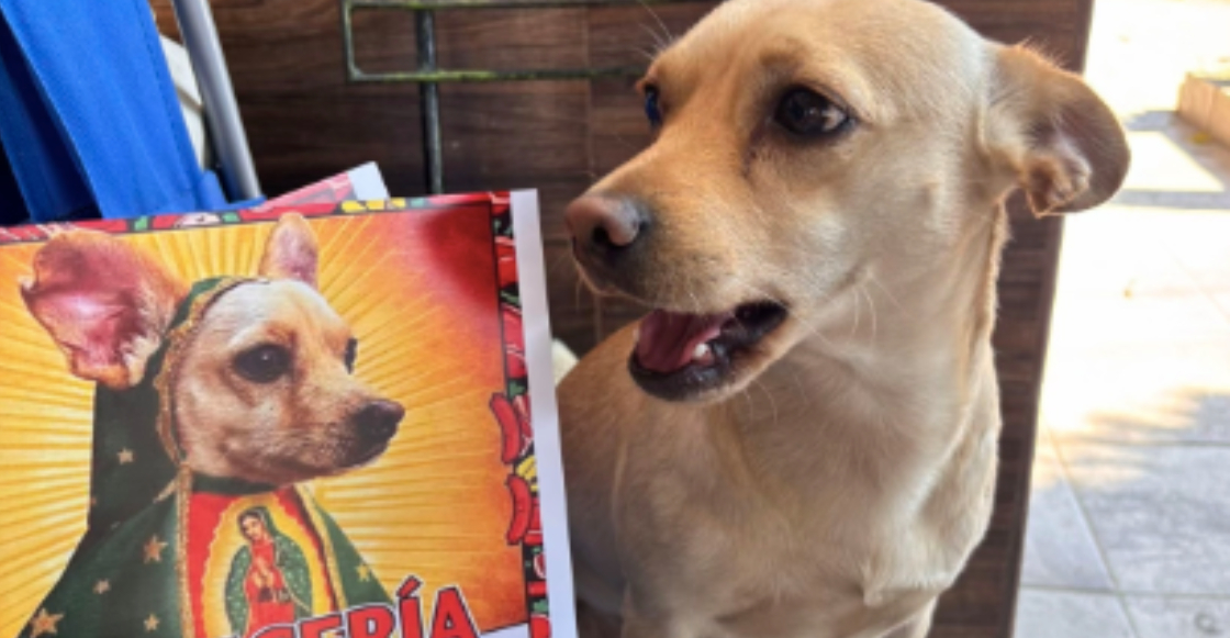 carniceria-ramirez-calendarios-lobis-perrito-guadalupano-1