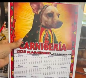 carniceria-ramirez-calendarios-lobis-perrito-guadalupano-3